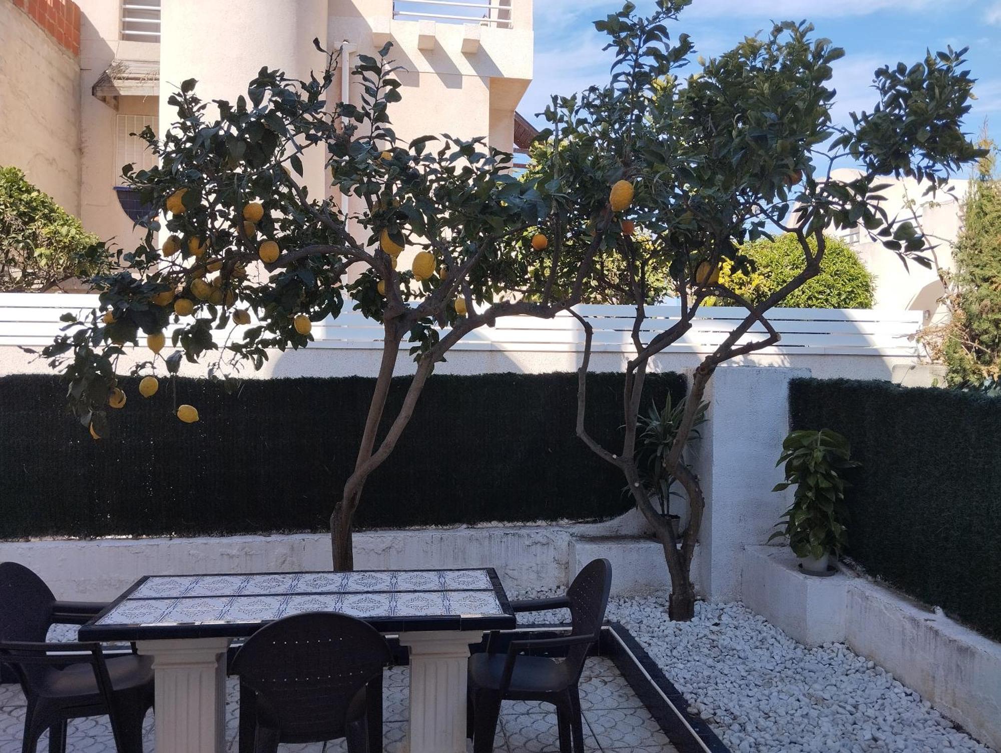Z&R - Alcyone Villa ตอร์เรเวียคา ภายนอก รูปภาพ